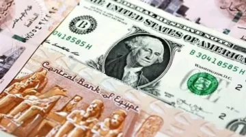 سعر الدولار مقابل الجنيه في البنوك اليوم الاثنين 8 ديسمبر 2025 وتغييرات السوق المصرفية